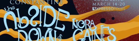 The Upside Down of Nora Gaines Blitz Banner